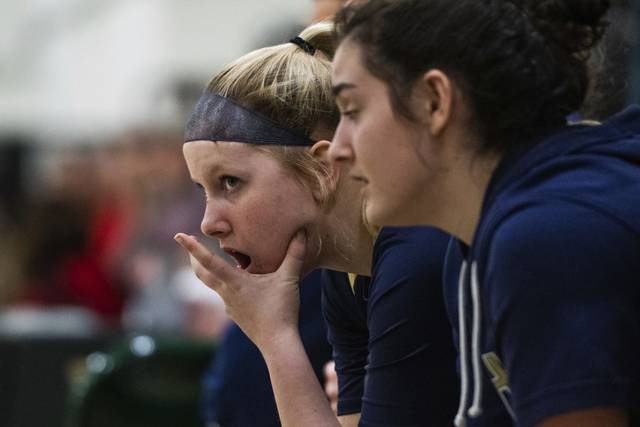 Quartet of Alle-Kiski Valley girls basketball teams hopeful for PIAA playoff spot