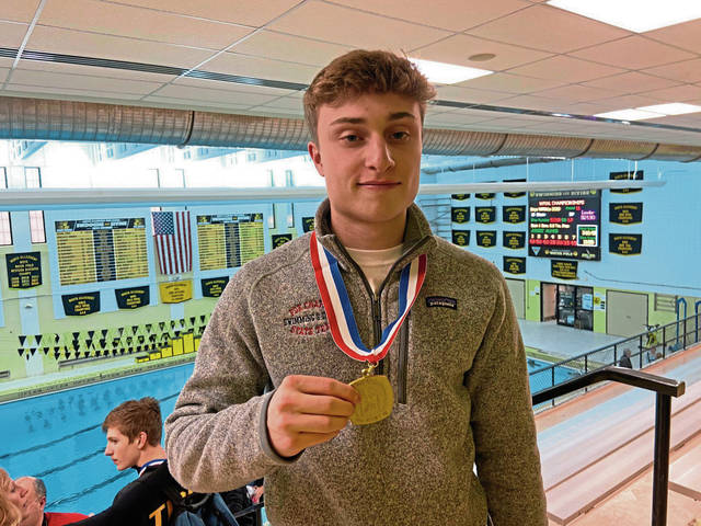 The Herald Spotlight Athlete: David Manelis, Fox Chapel