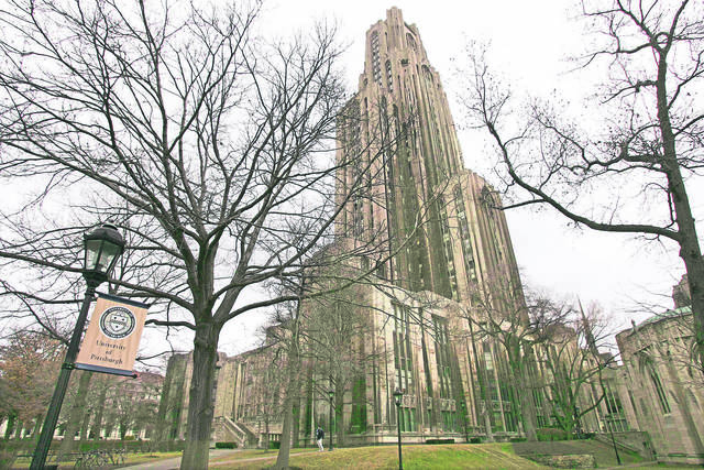 2385288_web1_web-pitt4