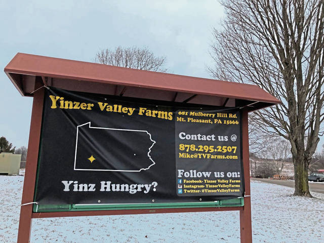 2365042_web1_gtr-liv-yinzer4-031520
