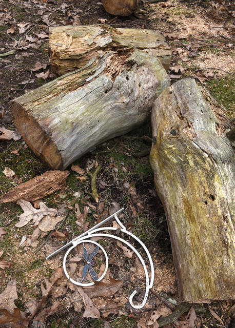 2378541_web1_gtr-liv-tree3-022820