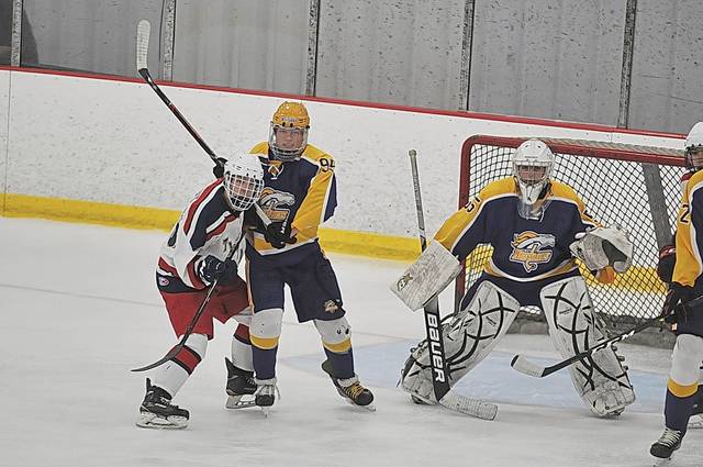 Kiski Area, Plum hockey teams surge into playoffs