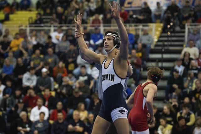 Westmoreland high school wrestling notebook: Norwin’s Phipps ready for final run