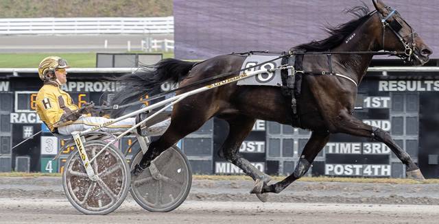 2399943_web1_gtr-harness-100119