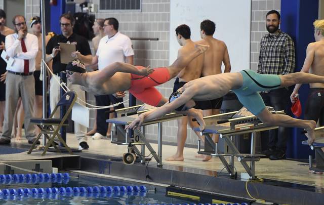 Plum’s Decheck earns shot to compete with best in state