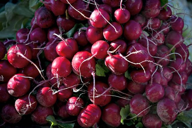 2430014_web1_web-radish00