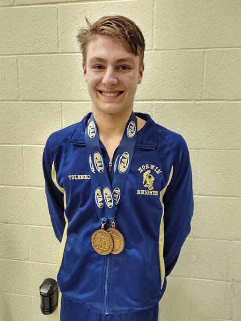 Norwin’s Tulenko picks up pair of medals at PIAA swim meet