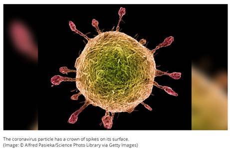 2436387_web1_coronavirus_Sunday
