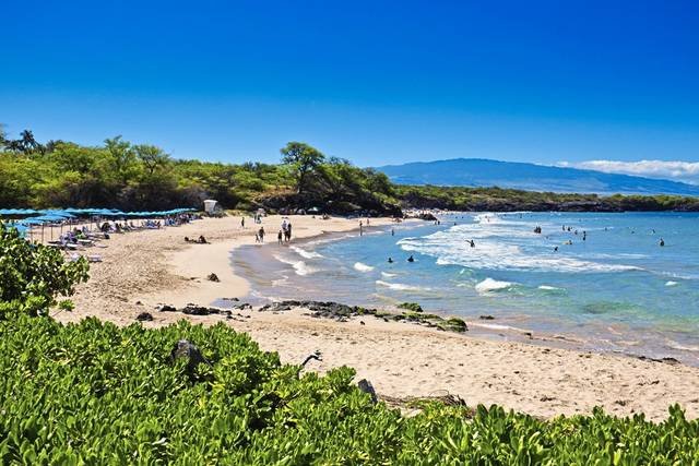 New Shaler business to take guests on Caribbean vacations one sip at a time