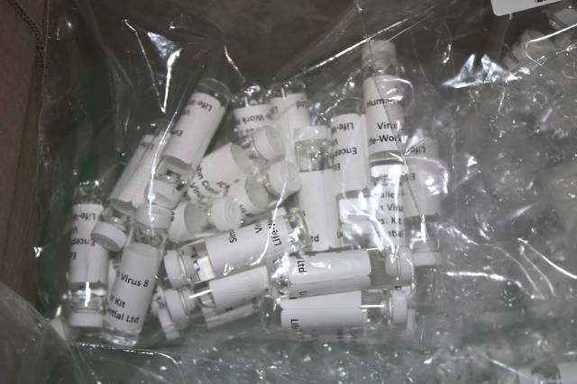 2454631_web1_2454631-99ea152da16b4409bbc3197ae0384eb6