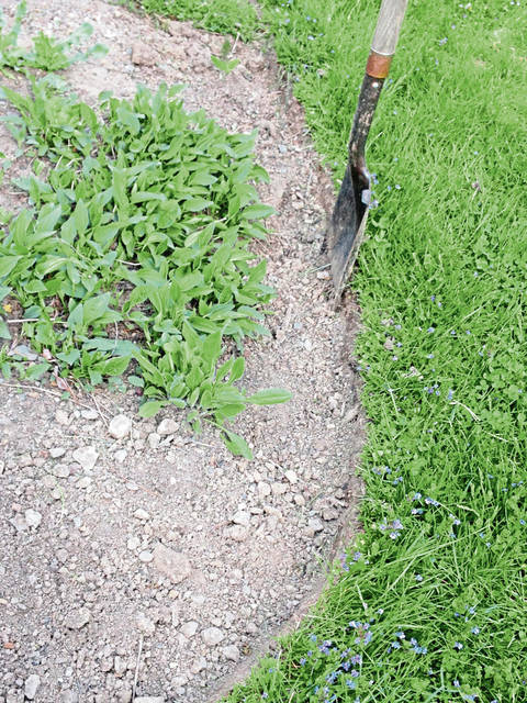 2468498_web1_gtr-liv-garden-02-032420