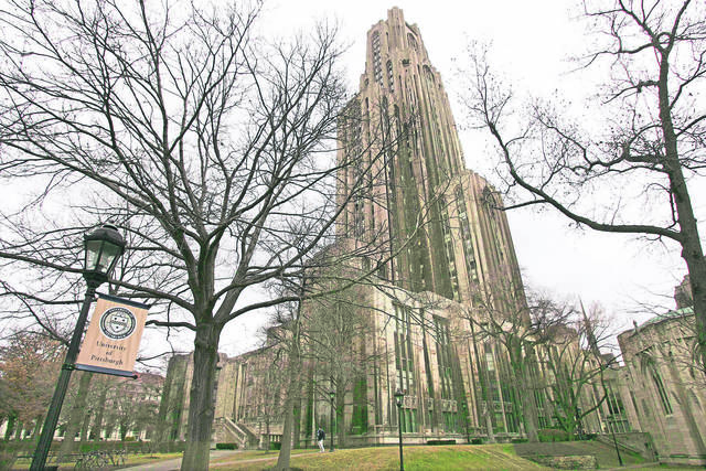 2473944_web1_web-pitt4