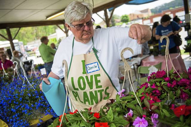 2489904_web1_gtr-plantsale-050119