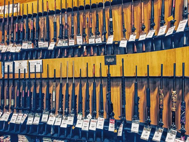 2496141_web1_web-gunstore