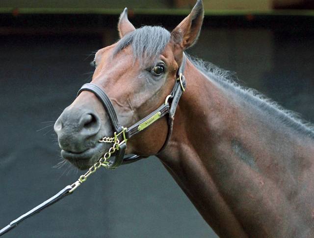 2497256_web1_gtr-nyquist-032520