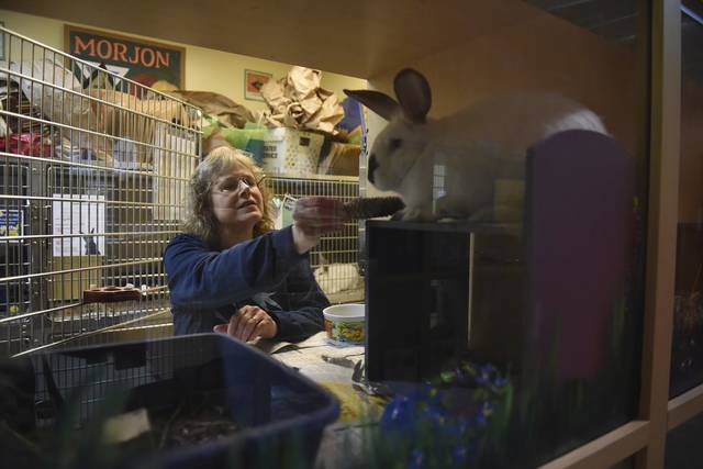 Animal Friends announces layoffs, pay cuts