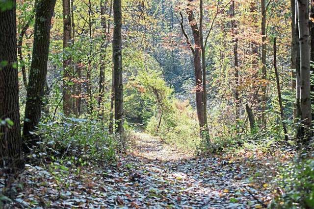 Sewickley-area organizations: closures and cancellations