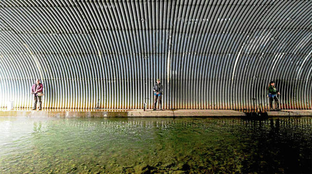 2533346_web1_GTR-FishOpen001-040820