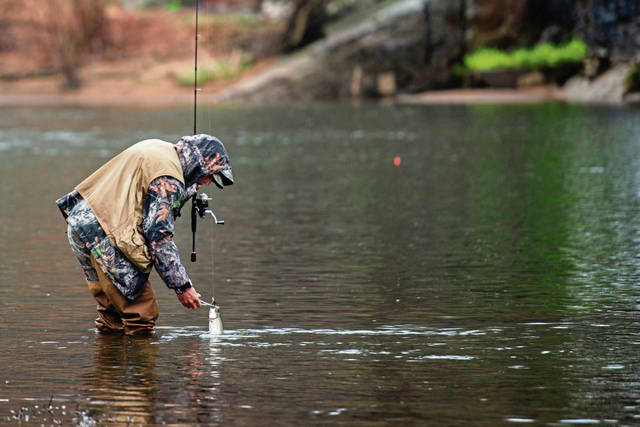 2533346_web1_GTR-Trout-1-030820
