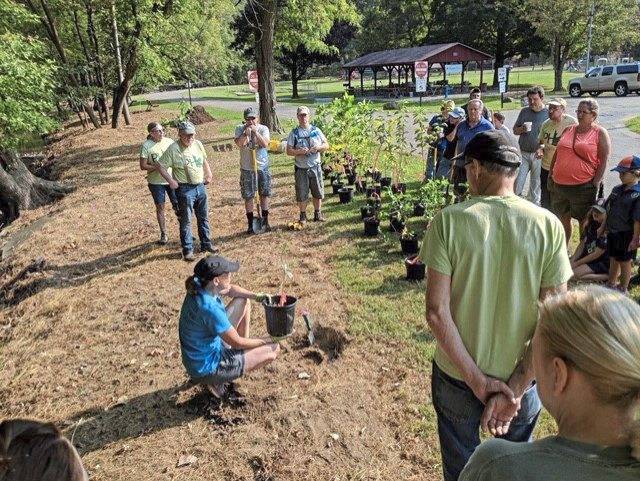 Penn Hills designated a Tree City USA