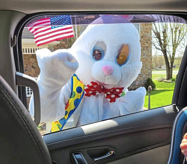 2555186_web1_EasterBunnySiniawski
