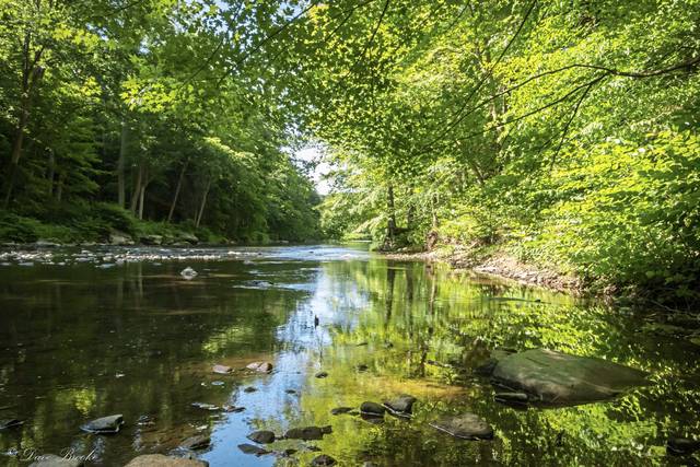 2564050_web1_vnd-riverofYear-122119