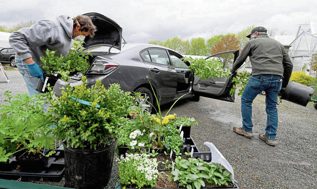 2599113_web1_VND-Gardening04-050320