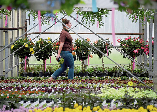 2599113_web1_VND-Gardening05-050320