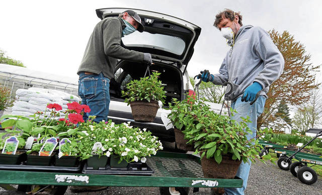 2599113_web1_VND-Gardening06-050320