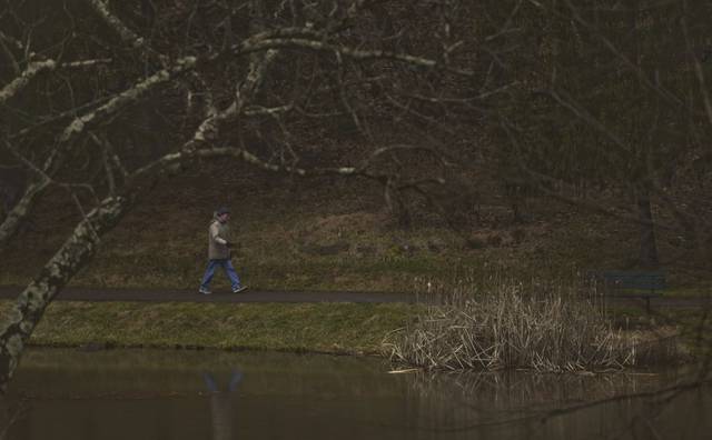 2600869_web1_VND-LO-DailyWalk-010319