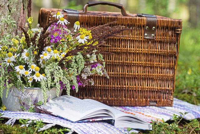 2623578_web1_web-picnic