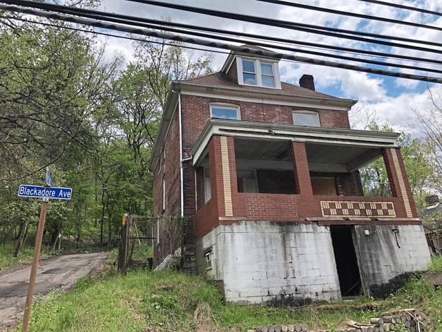 5 Lincoln Park homes slated for demolition