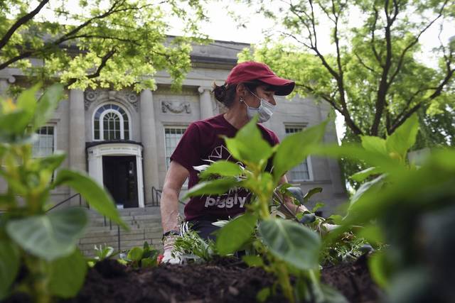 Sewickley Civic Garden Council, member clubs plant flowers along Broad Street