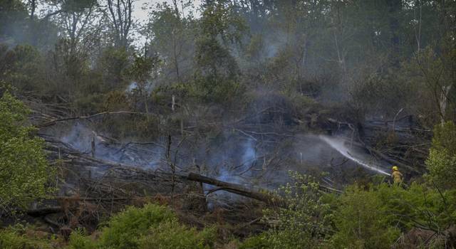 2658793_web1_VND-BrushFire101-052020