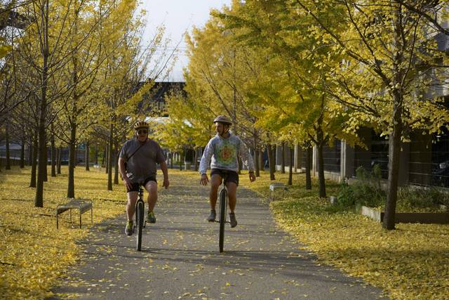 2658908_web1_ptr-lo-unicycle-110514