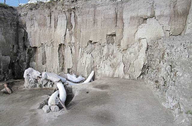 2668523_web1_AP19311017212028