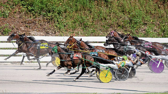 2687388_web1_ptr-HarnessRacing-53120