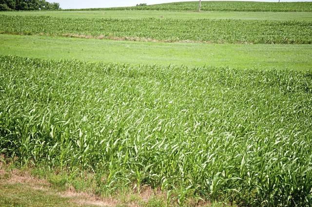 2695782_web1_web-PAfarm