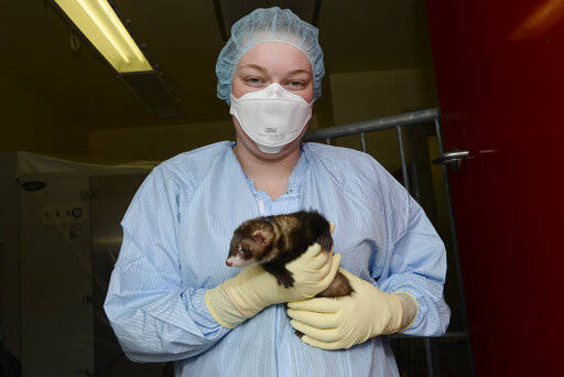 2696779_web1_f4fec8b45c4a480b83da6f32c0bea7f6-a9e1c3ae01ee4626af3a6492ff08c6d2-0