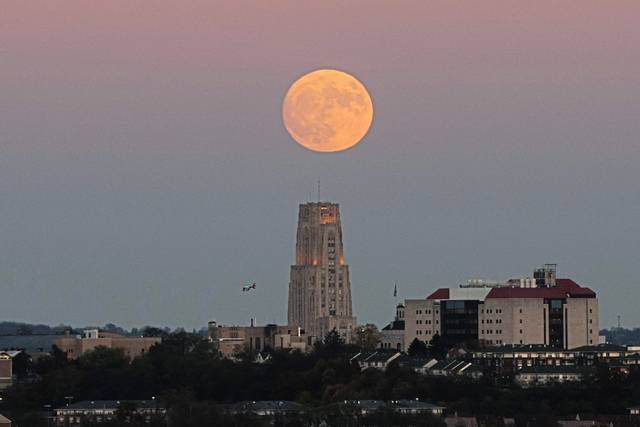 2709302_web1_ptr-moonlanding013-071919
