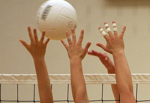 2723040_web1_web-volleyball
