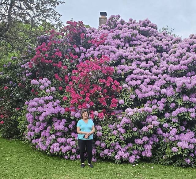 2727392_web1_gtr-rhodies1-061220