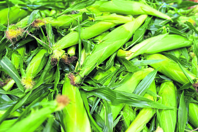 2736803_web1_gtr-cornfourth004-070418