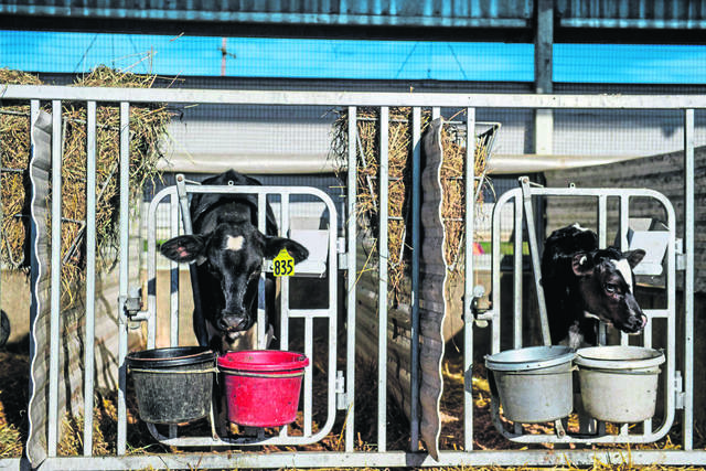 2741531_web1_gtr-vetfarm001-101118