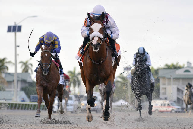 2741854_web1_2741854-7ab89e6ef0fb40adae72227e72e4cdae