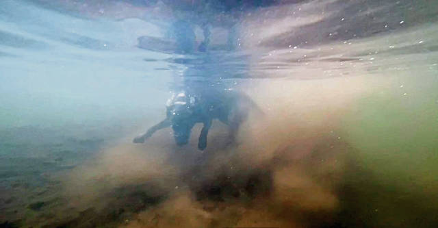 2752153_web1_PTR-DogDiesel6a-062020