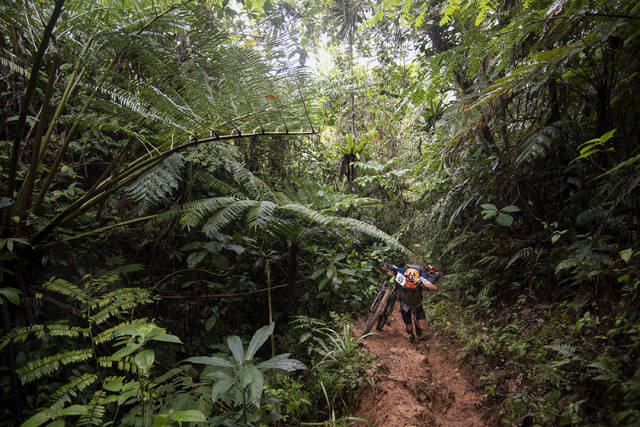 2764361_web1_2764361-b3e01dcf397c4256beddb2f3485c9795