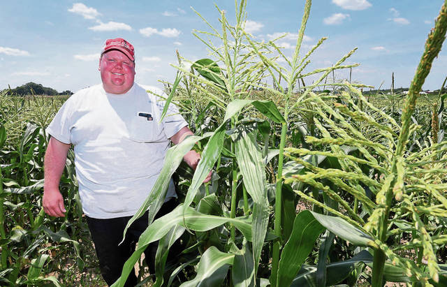 2787701_web1_GTR-cornharvest01-070420