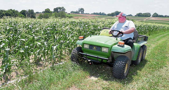 2787701_web1_GTR-cornharvest03-070420