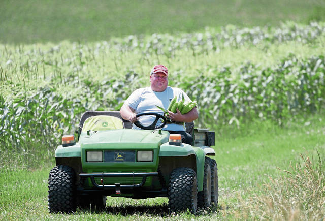 2787701_web1_GTR-cornharvest04-070420
